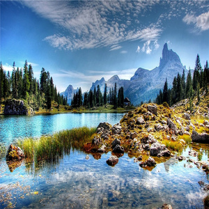 별난 리틀 허니문