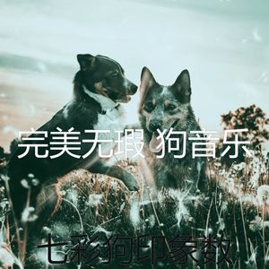 温和幼犬梦想