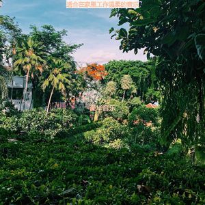 适合在家里工作温柔的音乐