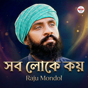 সব লোকে কয়