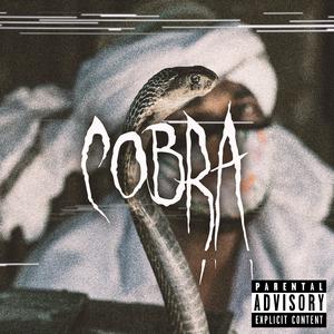 Cobra