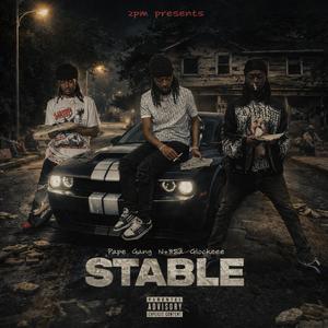 Stable(Offical Audio)