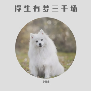 浮生有梦三千场