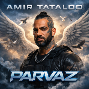 Parvaz (Remix)