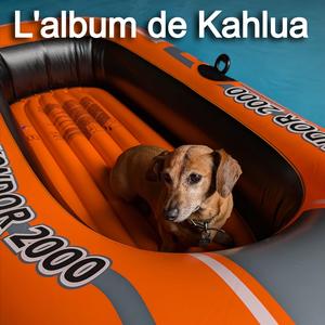 Chien saucisse couvert de puanteur