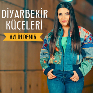 Diyarbekir Küçeleri