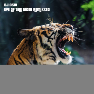 Eye of the Tiger Remixxed