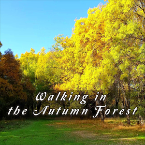 Walking in the Autumn Forest