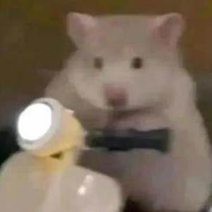 下水道鼠鼠の小曲3