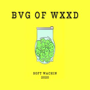 Bvg Of Wxxd