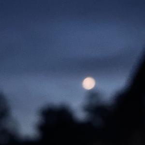 云和雨（Cover.WiFi歪歪）