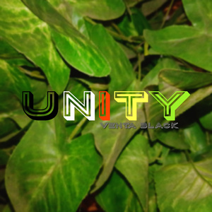 UNITY (Radio Edit)