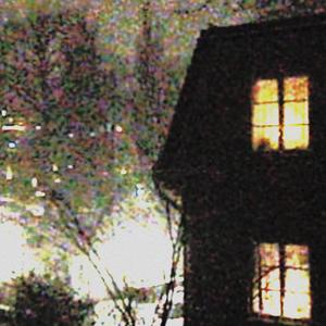 nestling (feat. grace)