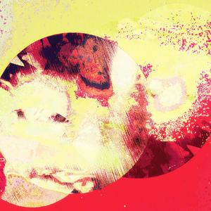 Question-Starflower (Starflower Short Version)