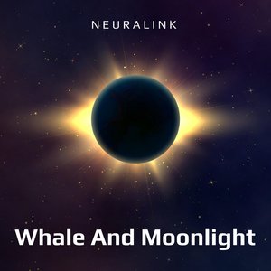Whale And Moonlight