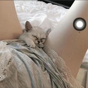 我走后（DJ版）