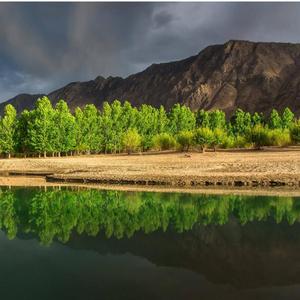 挥着翅膀的女孩