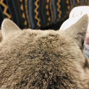 越过那些潮湿的身体