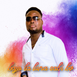 bajo la luna sabi bv