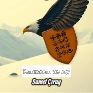 Кавказан аьрзу