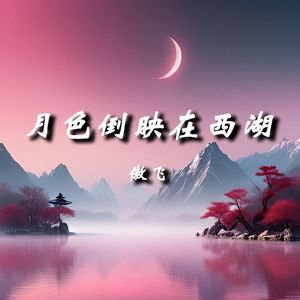 月色倒映在西湖