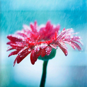 Valentine (nExow Remix)