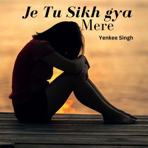 Je Tu Silh Gya Mere Bina (Slowed & Reverb)