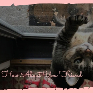 A05 Soñando Contigo