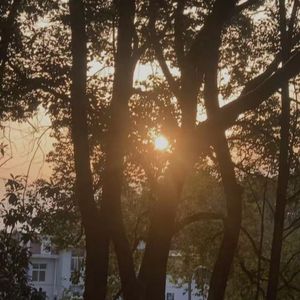 《热爱 105°的你》