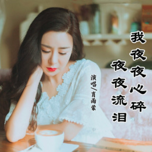 我夜夜心碎夜夜流泪