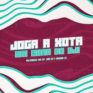 JOGA A XOTA EM CIMA DO DJ!