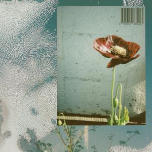 Esperando a q me escribas (feat. Frío)