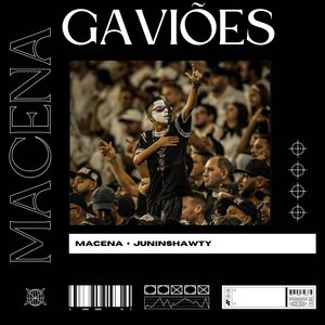 GAVIÕES