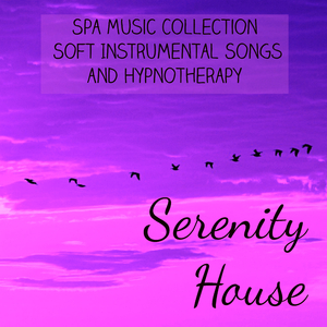 Meditation Zen Master