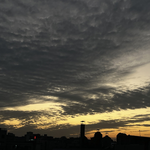 平静日子里的伤疤