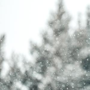 河边散步