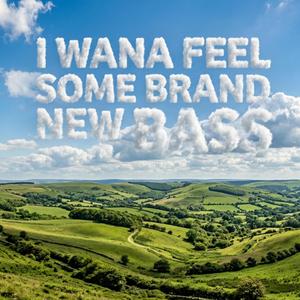 I wana feel some brand new BASS