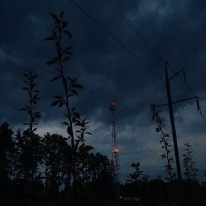 Пепел на языке