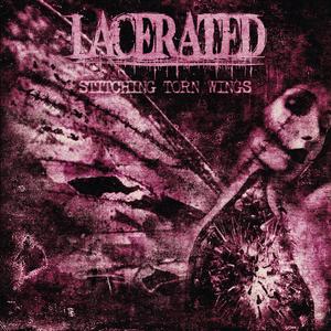 Stitching Torn Wings