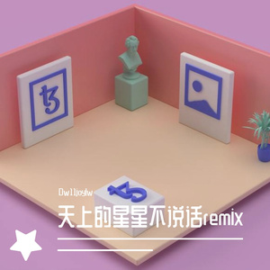 天上的星星不说话remix