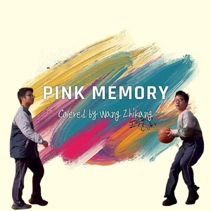 Pink Memory (Live)