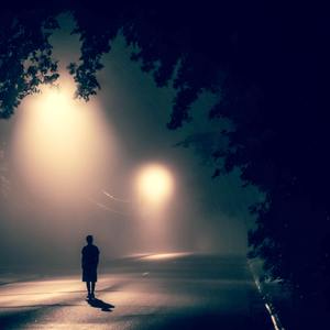 【FREE】“踽踽独行 ”