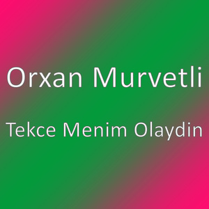 Tekce Menim Olaydin