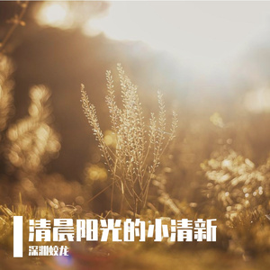 清晨阳光的小清新