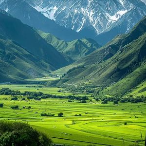 蜂群思维下的静谧之息