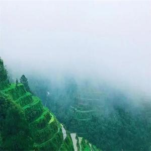 山野