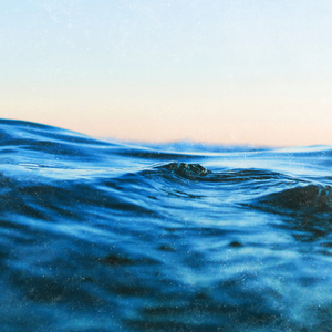 Epiphyte (rain version)