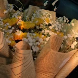 不知道这首该叫什么名字的歌