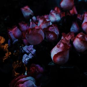 遇见你之前（Prod.by 房间里的大象）