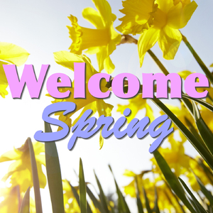 Every Night When The Sun Goes Down (Live)